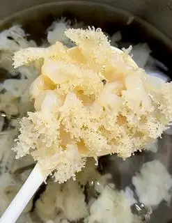 Hình ảnh SỨA CHÙM THÁI - M18