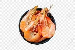 Hình ảnh Tôm