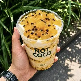 Hình ảnh SỮA CHUA HẠT ĐÁC CHANH DÂY