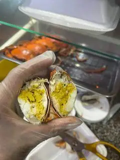Hình ảnh 1 con cua thịt-HẤP
