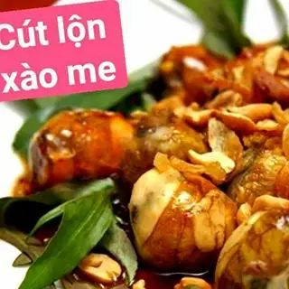 Hình ảnh cút lộn xào me