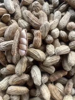 Hình ảnh đâu phộng luộc 0,5kg