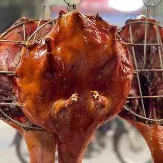 Hình ảnh 1 con vịt tỳ bà da giòn 