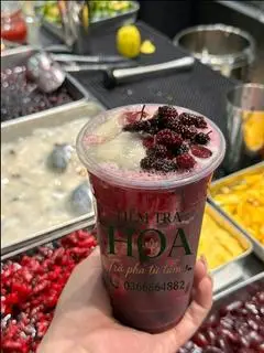 Hình ảnh Mãng cầu dâu tằm