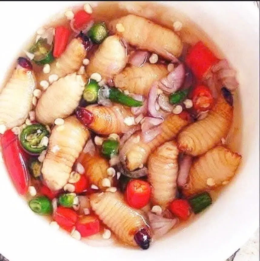 Hình ảnh Đuông Dừa Con Đại