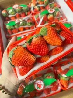 Hình ảnh Dâu Tây Hàn