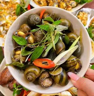 Hình ảnh Ốc to hấp sả