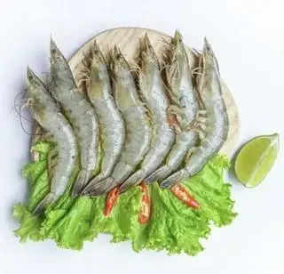Hình ảnh Tôm