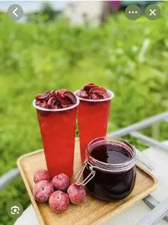 Hình ảnh Trà mận