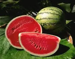 Hình ảnh Nước ép Dưa hấu