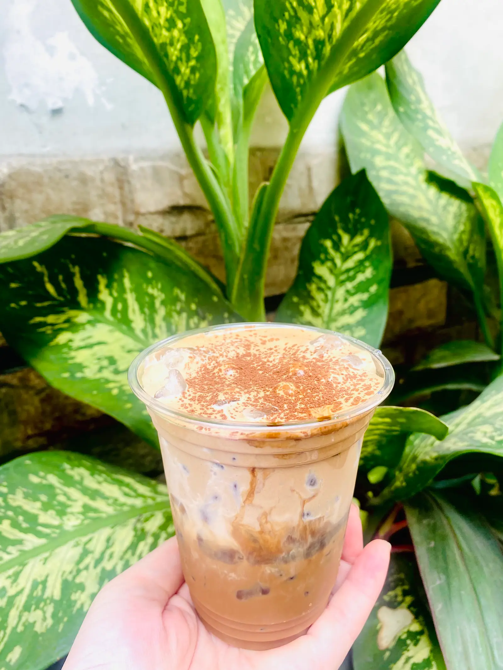 Hình ảnh Cafe Sữa Gấu Thái Lan  (full hộp)