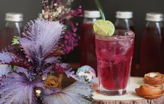 Hình ảnh Nước tía tô - tắc - hạt chia