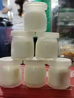 Hình ảnh yaourt hủ 