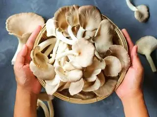 Hình ảnh Nấm thêm