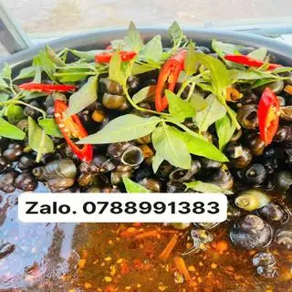 Hình ảnh Ốc đắng gạo xào xả ớt