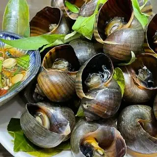 Hình ảnh ốc lat hấp thái