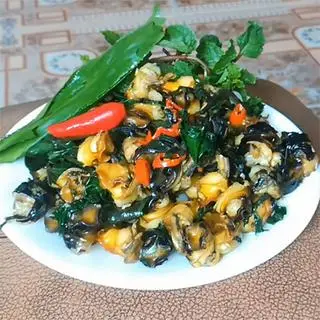 Hình ảnh Ốc thêm