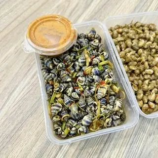 Hình ảnh Ốc hương vằn dai giòn