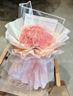 Hình ảnh nhũ hồng cao cấp 