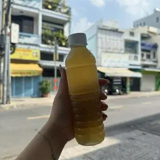 Hình ảnh Sâm Bông Cúc