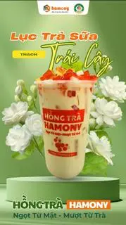 Hình ảnh LỤC TRÀ SỮA THẠCH TRÁI CÂY 700ML