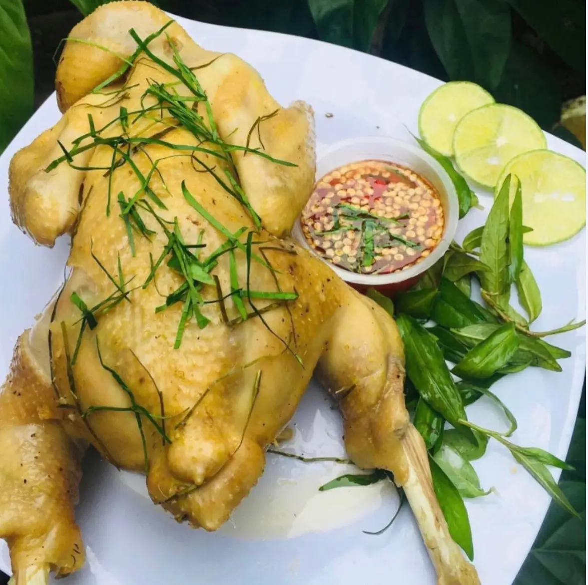 Hình ảnh Gà Tre Hấp Hành - Lớn
