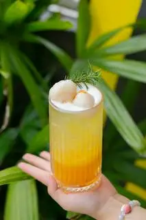 Hình ảnh Trà Lài Lệ Chi