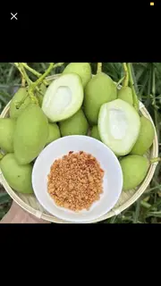 Hình ảnh Xoài non cắt sẵn - 500g
