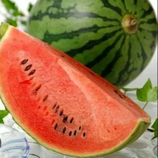 Hình ảnh 1 quả dưa sài giòn ngọt từ 3kg -3,3kg