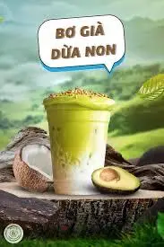 Hình ảnh bơ già dừa non