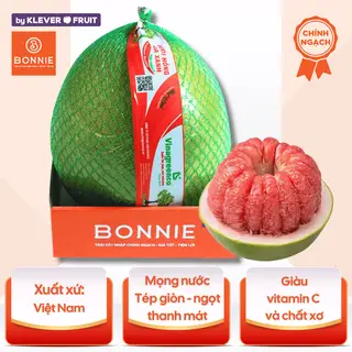 Hình ảnh Bưởi Hồng Da Xanh Việt Nam - 01 quả - Bonnie Fruit By Kleve Fruit