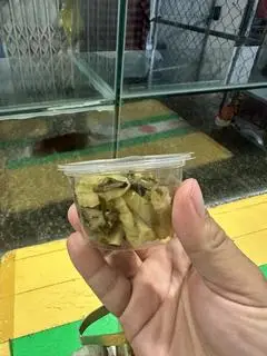 Hình ảnh Cải chua 