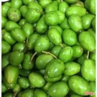 Hình ảnh Cóc bao tử 1kg tặng Muối Tây Ninh