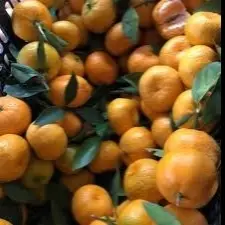 Hình ảnh Quýt Nhỏ Lạng Sơn  1kg