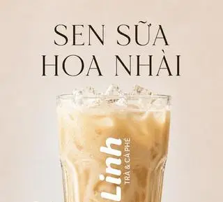 Hình ảnh Sen Sữa Hoa Nhài