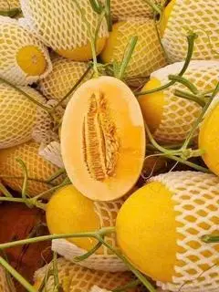 Hình ảnh Dưa Lưới Vàng 