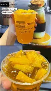 Hình ảnh Trà Xoài Thơm