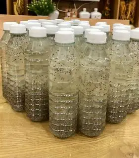 Hình ảnh Nha đam hạt chia