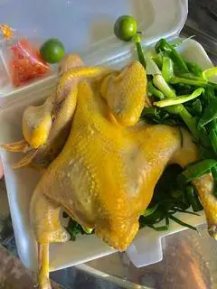 Hình ảnh Gà ta hấp hành to
