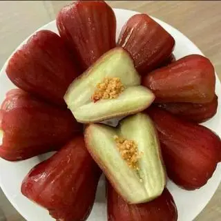 Hình ảnh Mận An Phước hoặc Mận đá 