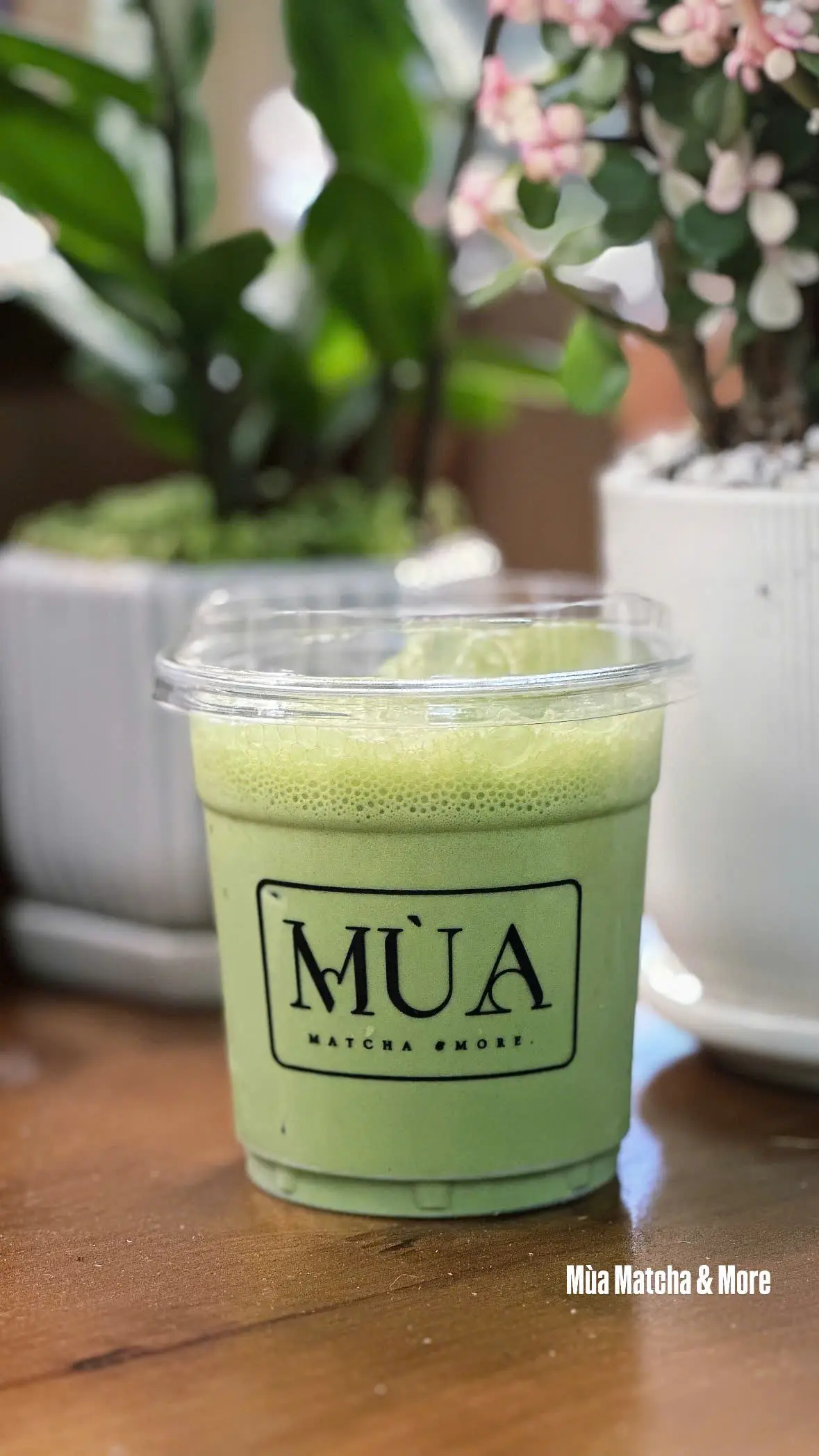 Hình ảnh Matcha Coldwhisk Haru