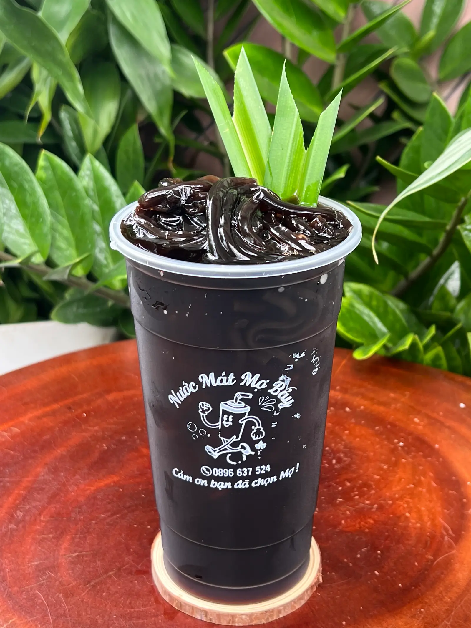 Hình ảnh Sâm Sương Sáo