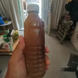 Hình ảnh Nước Sâm