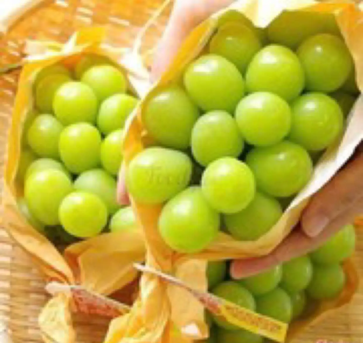 Hình ảnh Nho Mẫu Đơn 400gr