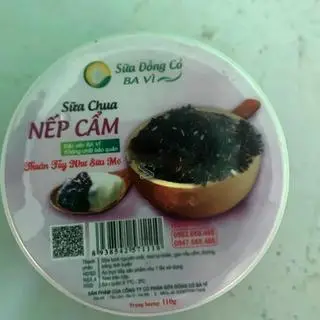 Hình ảnh Sữa chua nếp Cẩm 