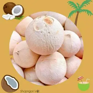 Hình ảnh Dừa Xiêm