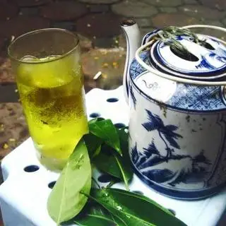 Hình ảnh Vối đá