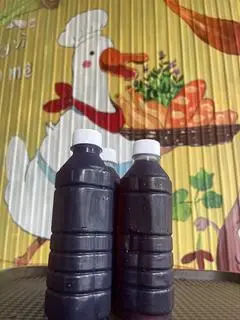 Hình ảnh sâm mía lau