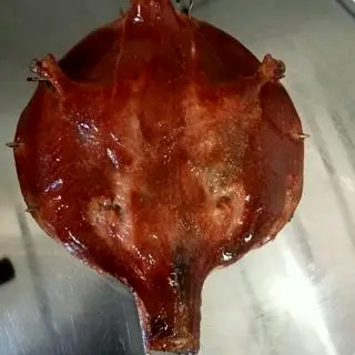 Hình ảnh Vịt tỳ bà 1/2 con