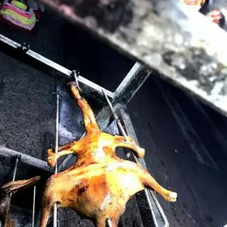 Hình ảnh Vịt to
